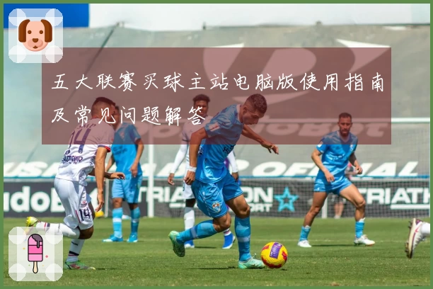 五大联赛买球主站电脑版使用指南及常见问题解答