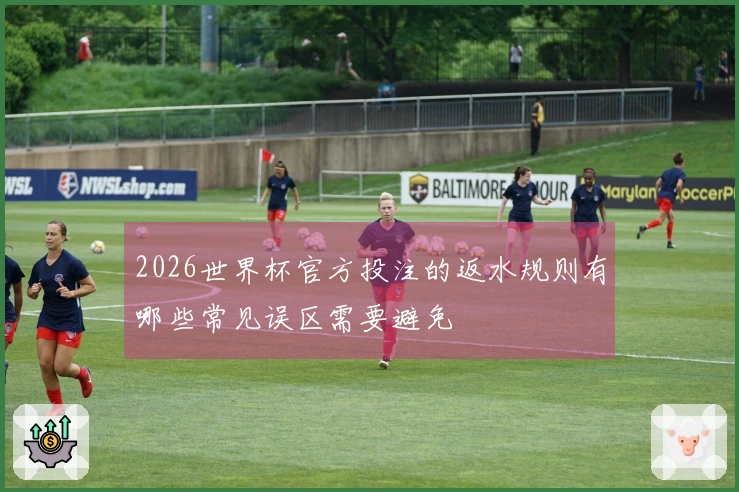 2026世界杯官方投注的返水规则有哪些常见误区需要避免