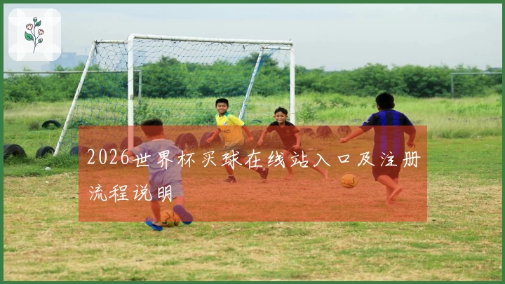 2026世界杯买球在线站入口及注册流程说明