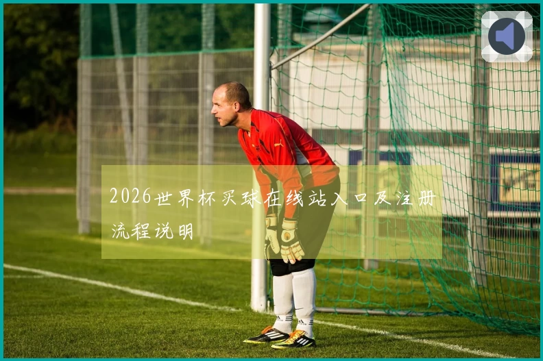 2026世界杯买球在线站入口及注册流程说明