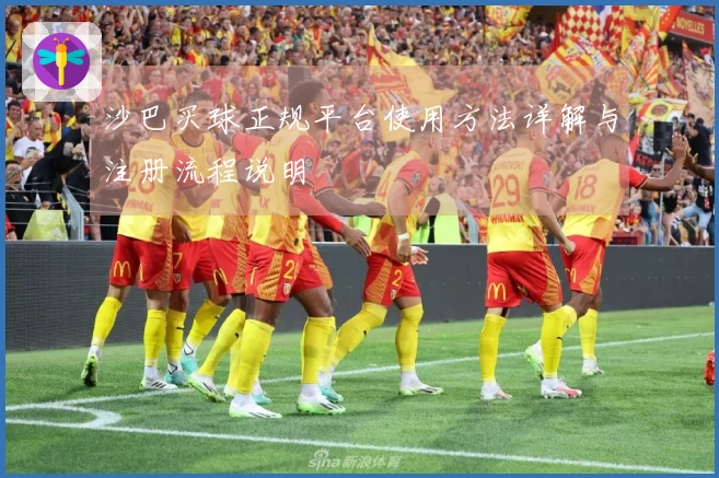 沙巴买球正规平台使用方法详解与注册流程说明