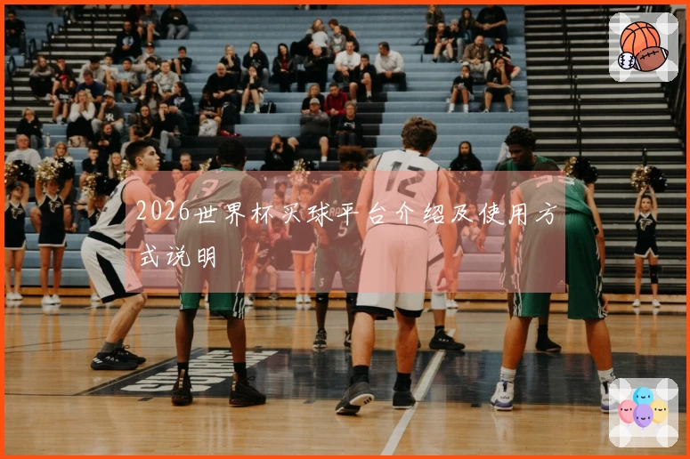 2026世界杯买球平台介绍及使用方式说明