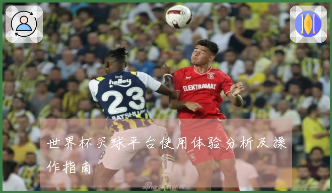 世界杯买球平台使用体验分析及操作指南
