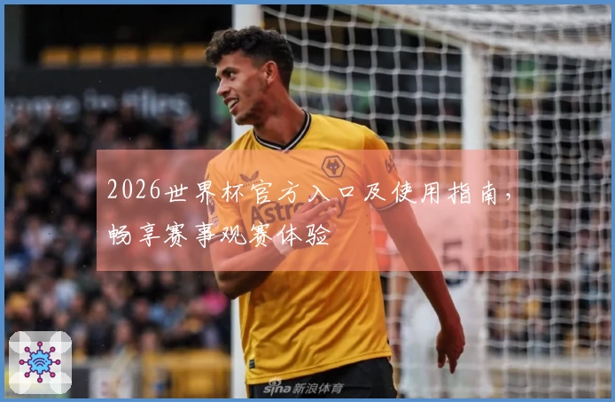 2026世界杯官方入口及使用指南，畅享赛事观赛体验