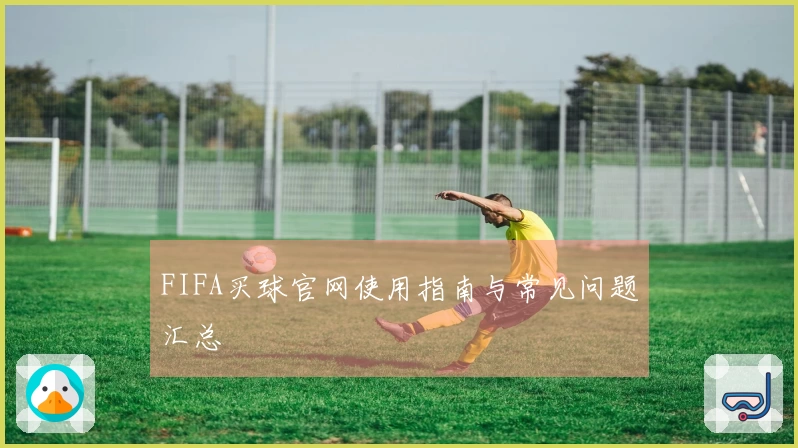 FIFA买球官网使用指南与常见问题汇总