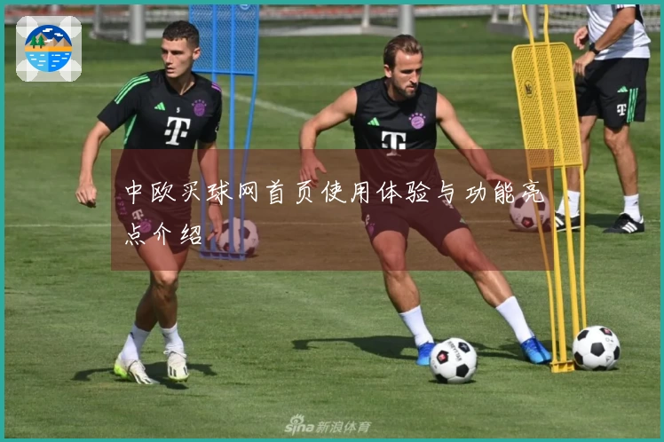 中欧买球网首页使用体验与功能亮点介绍