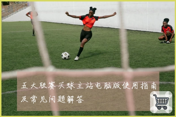 五大联赛买球主站电脑版使用指南及常见问题解答