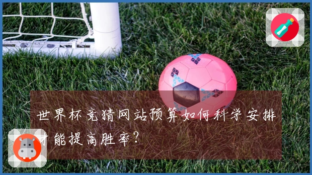 世界杯竞猜网站预算如何科学安排才能提高胜率？