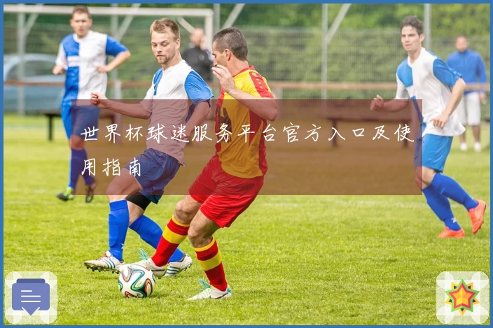 世界杯球迷服务平台官方入口及使用指南